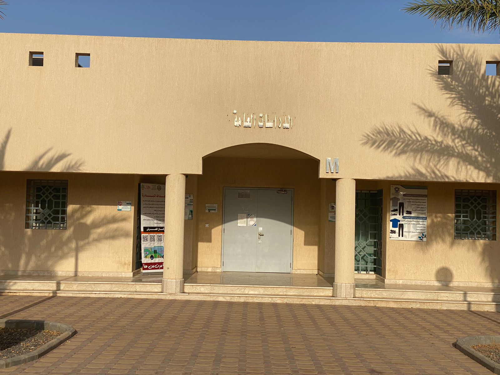 الدراسات العامة
