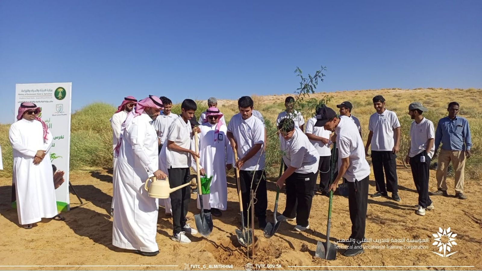 أرض القصيم خضراء