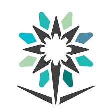 الخدمات الالكترونية 