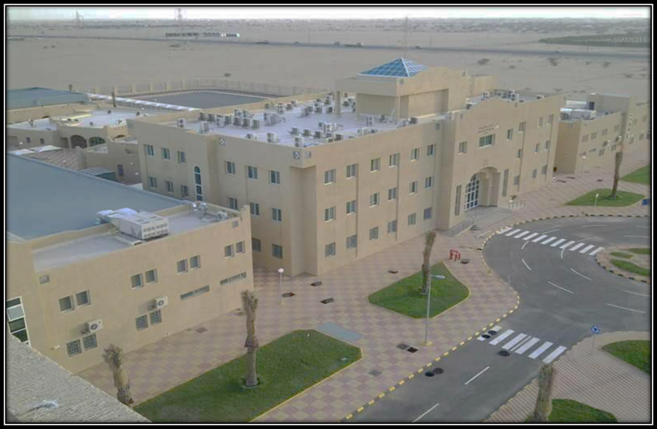(فارغة)