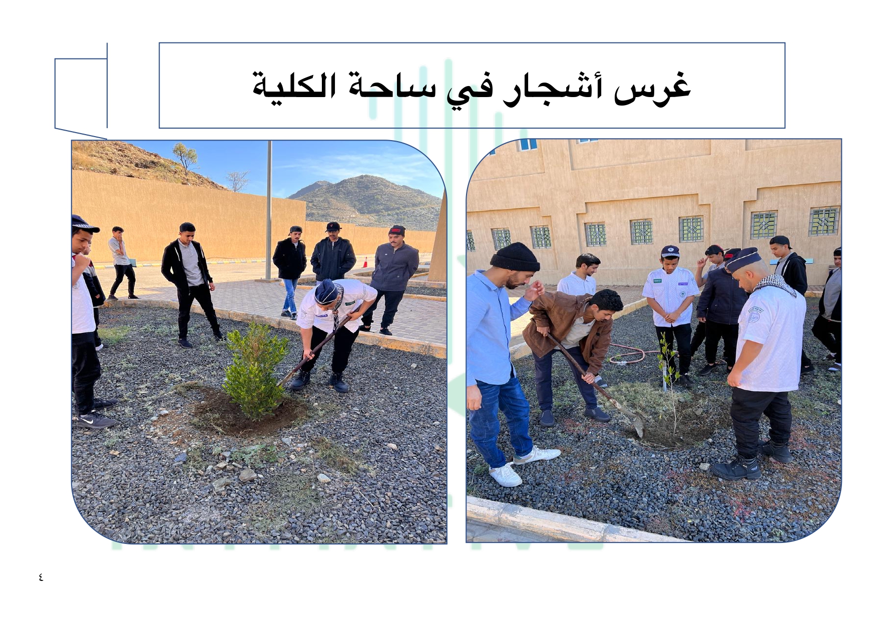 مشاركة الكلية في مبادرة السعودية الخضراء