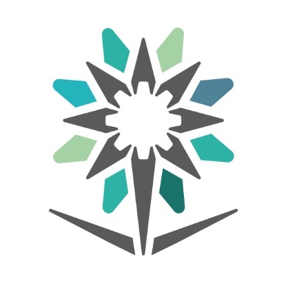 عدد مباني الكلية