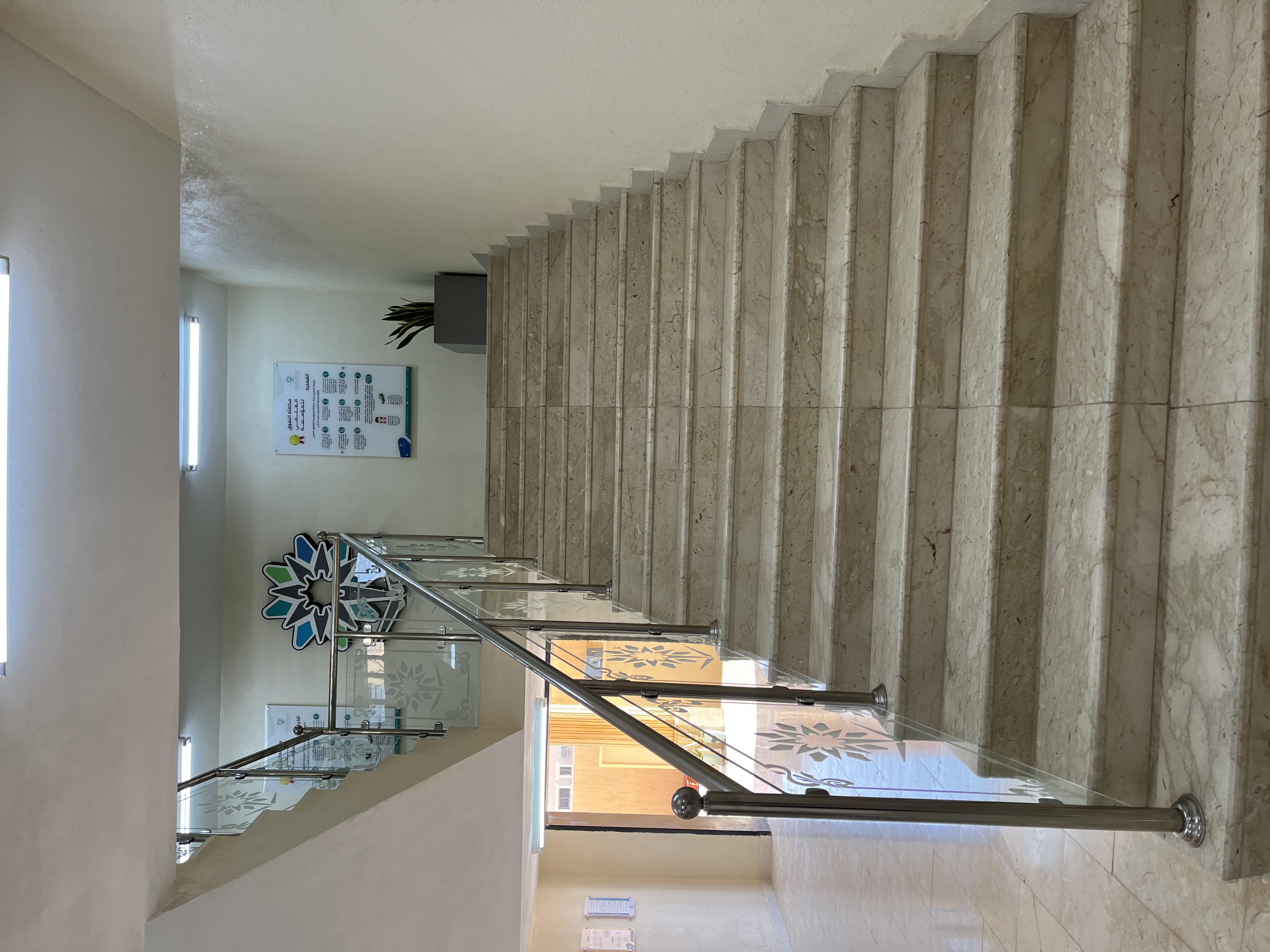 ممرات الكلية