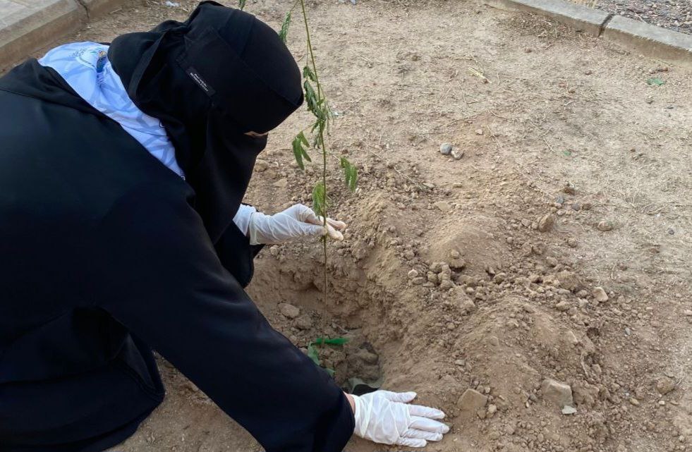 مبادرة السعودية الخضراء