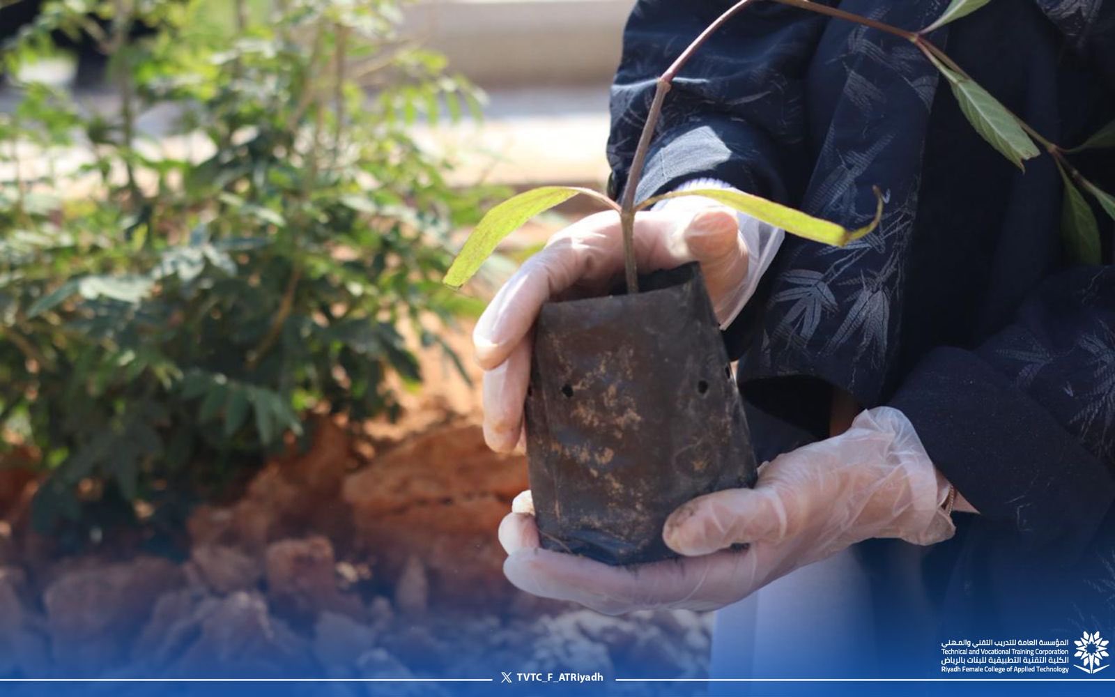 مشاركة الكلية التقنية التطبيقية للبنات بالرياض في مبادرة #الرياض_تتطوع