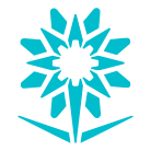 عدد تخصصات الكلية